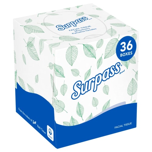 Surpass® Ecologo Facial Tissue Cube Box, 110 Sheets, 2-Ply, White